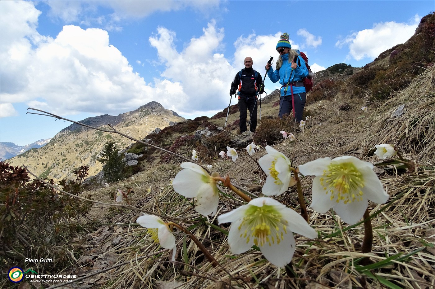 76 Ellebori in fiore con vista in Sodadura.JPG